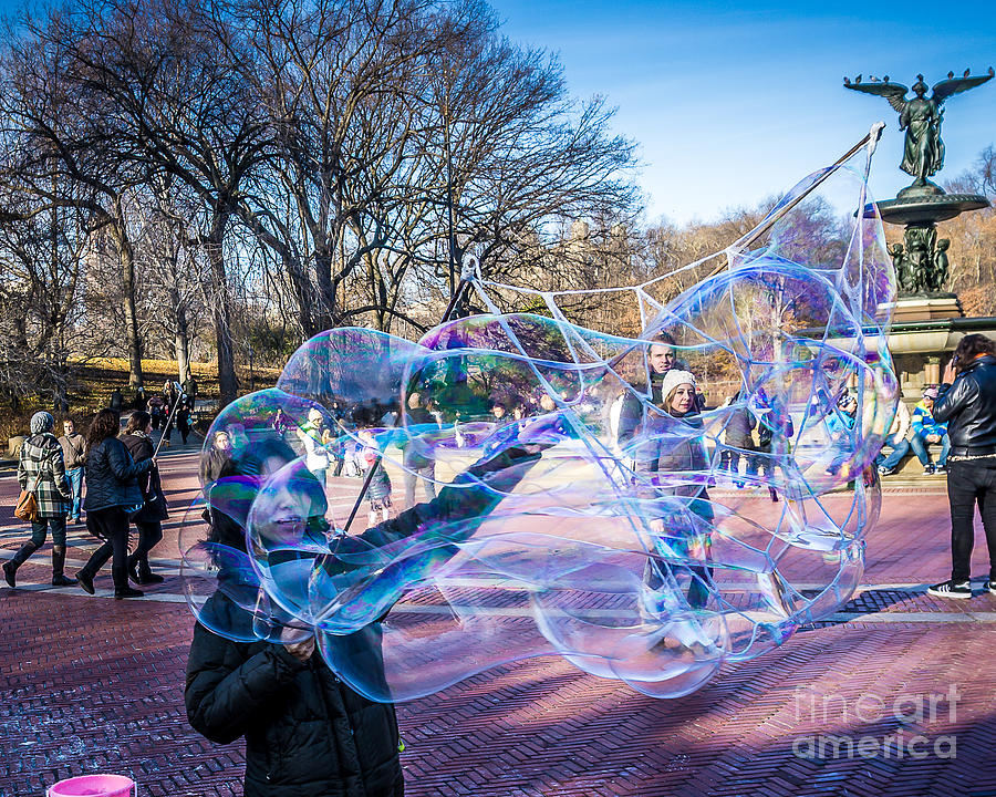 Central Park Bubbles Photograph by Perry Webster