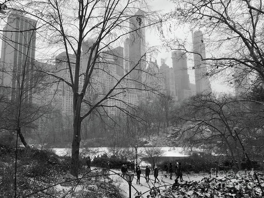 Central Park  Photograph by Dennis Richardson