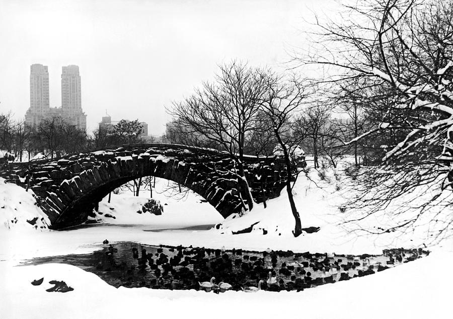 Central Park Photograph - Central Park Duck Pond by American School