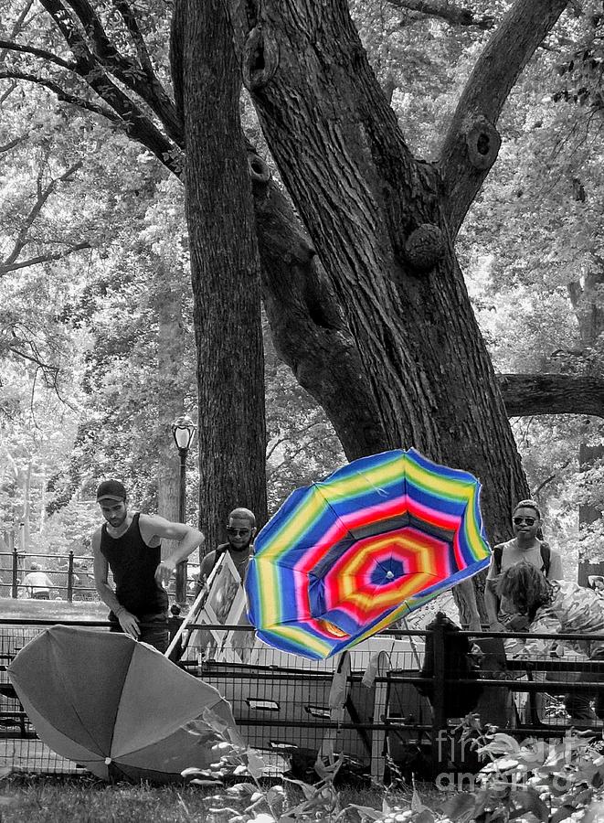 Central Park Gust Photograph by Diana Rajala
