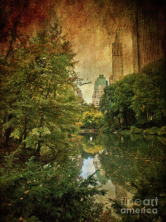 Central Park In Autumn Texture 4 Photograph by Dorothy Lee