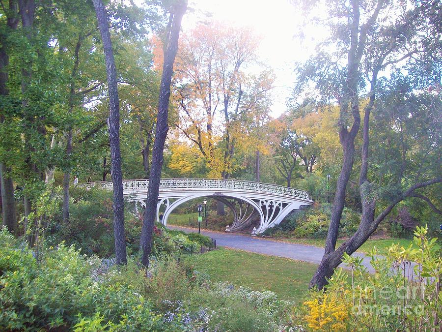 Central Park in Autumn at Gothic Bridge Photograph by Carol Riddle