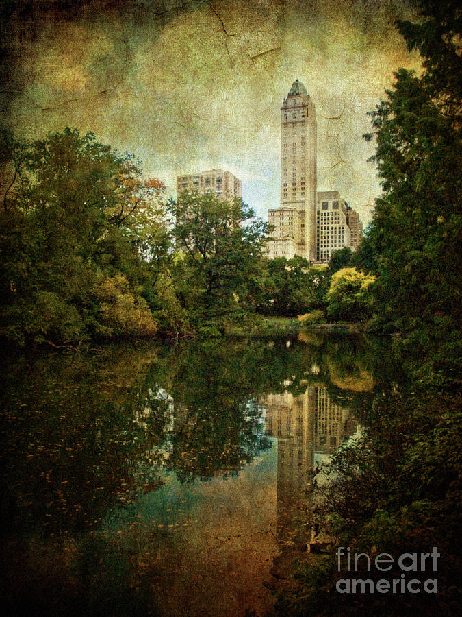 Central Park In Autumn Texture 2 Photograph by Dorothy Lee