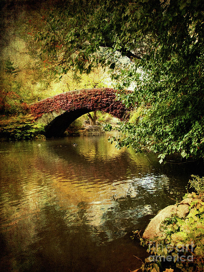 Central Park In Autumn Texture 6 Photograph by Dorothy Lee Central Park In Autumn Texture 6 Photograph by Dorothy Lee