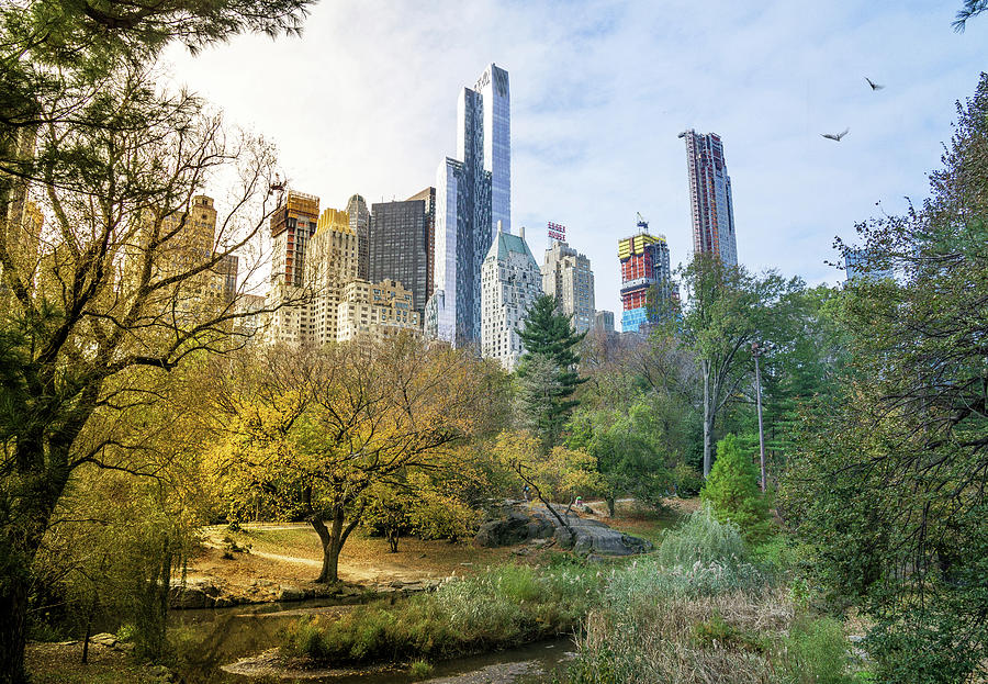 Central Park In Fall Photograph