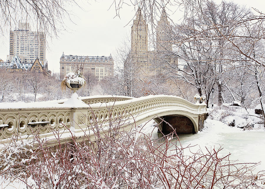 Central Park in Snow Photograph by Katherine Gendreau - Fine Art America