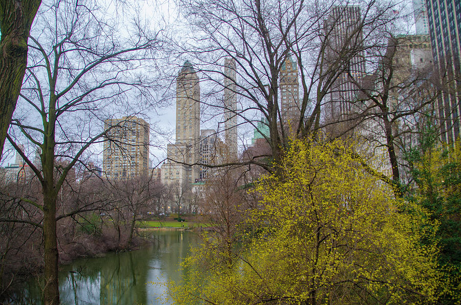Central Park in Spring Photograph by Bill Cannon