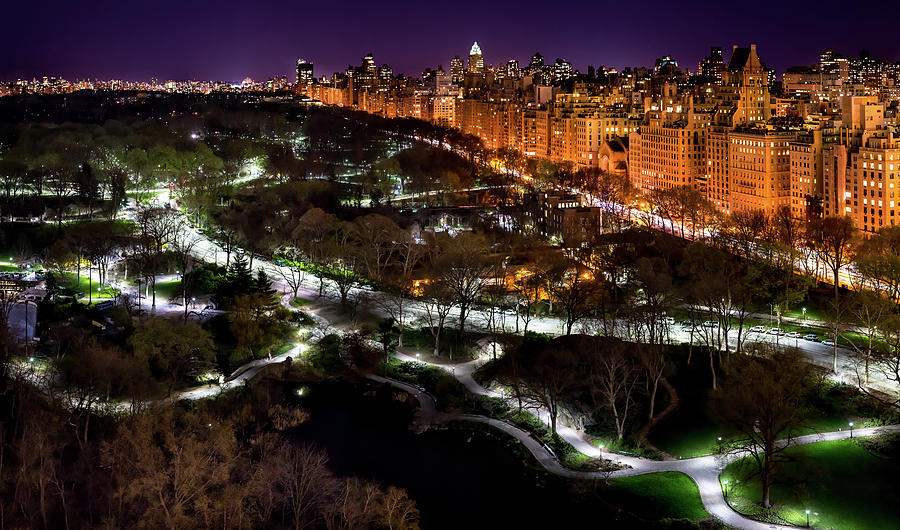 Central Park in the Spring Photograph by M G Whittingham