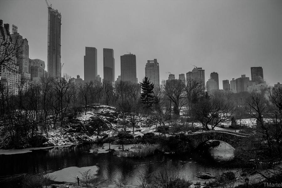 Central Park In Winter Photograph by Timothy Martel