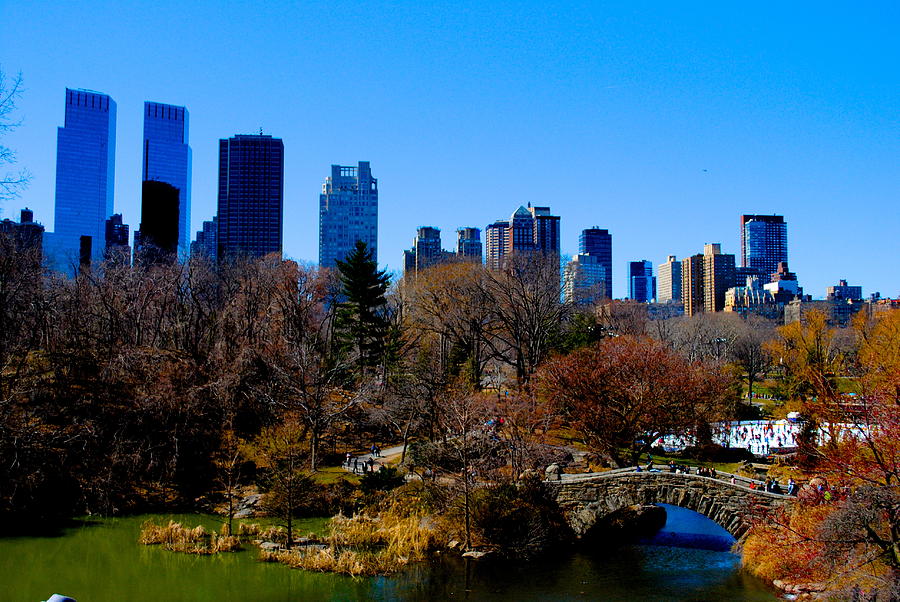 Central Park Photograph by Jackson ElRite - Fine Art America