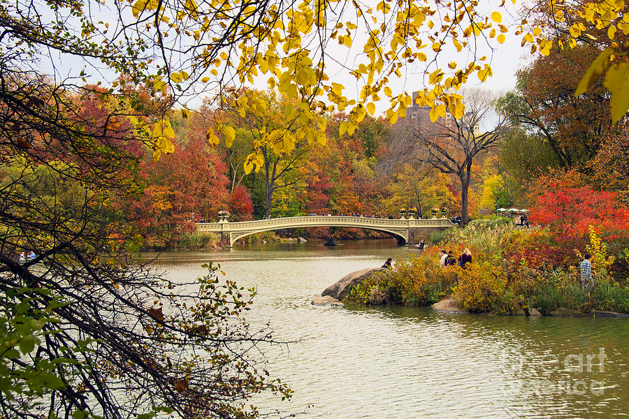 Central Park Lake Bow Bridge in Autumn Photograph by Regina Geoghan ...