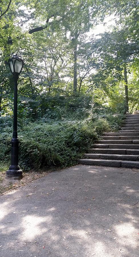 Central Park Photograph - Central Park Lamp Stairs 2015 by Rob Hans