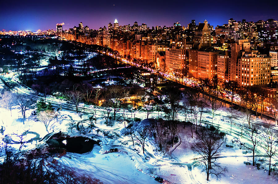 Central Park in Winter Photograph by M G Whittingham
