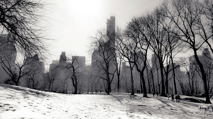 Central Park, Manhattan Photograph by Christopher Maxum