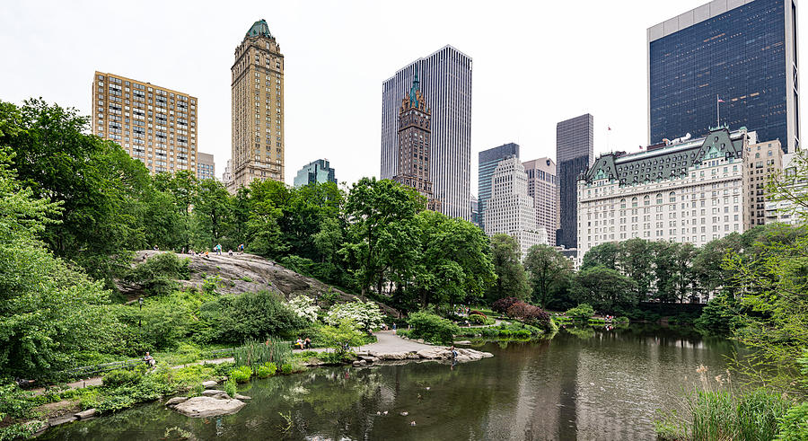 Central Park Photograph by Matt Malloy