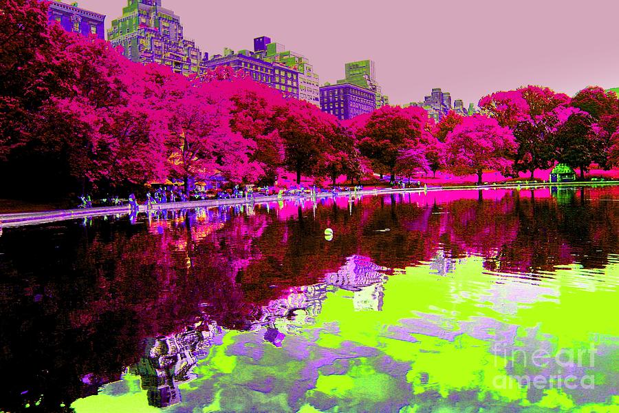 Central Park New York Photograph by Julie Lueders 
