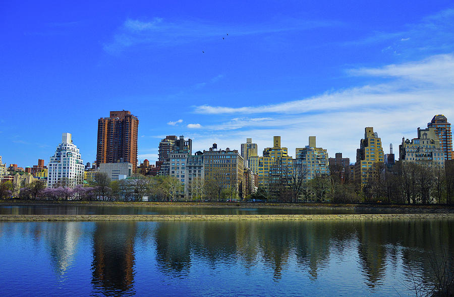 Central Park north Photograph by Mint Decor - Fine Art America