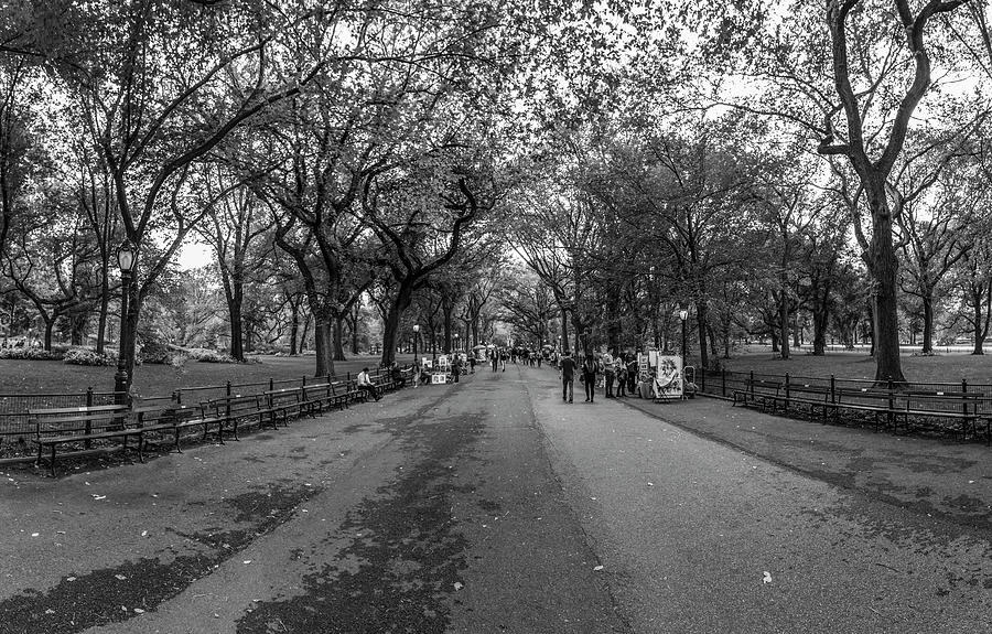 Central Park NYC Black and White  Photograph by John McGraw