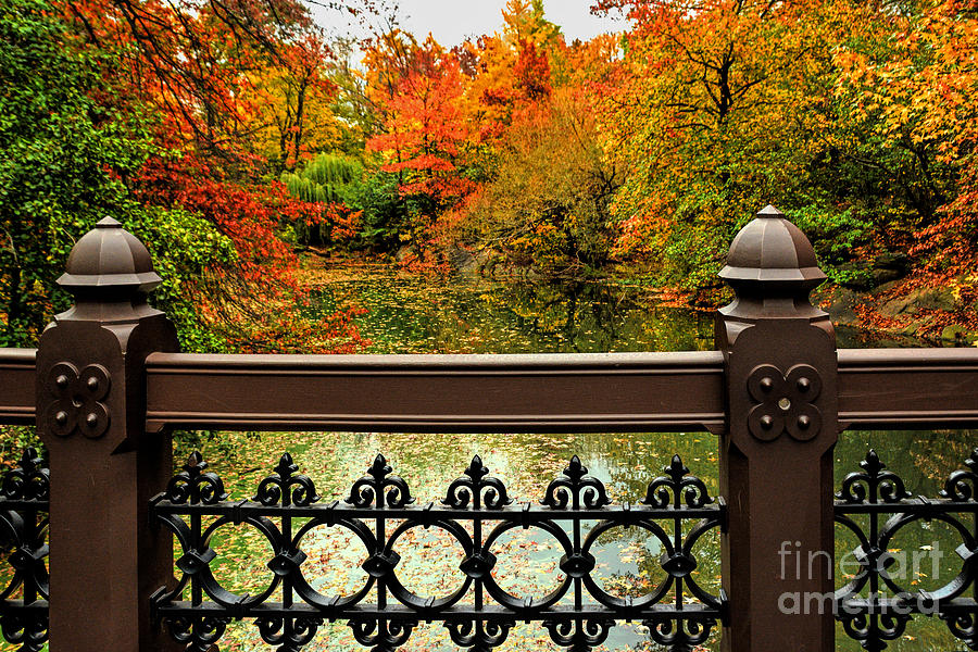 Central Park Bridges Photograph - Central Park Oak Bridge in Autumn by Regina Geoghan
