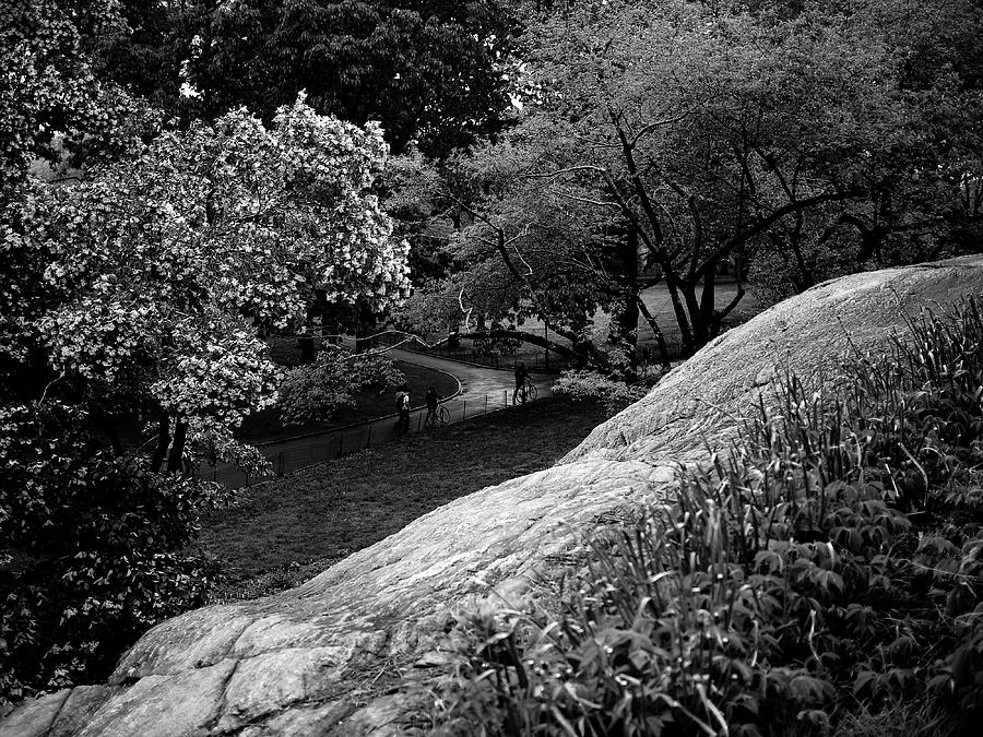 Central Park Path II Photograph by M G Whittingham