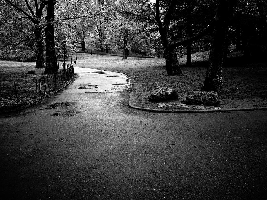 Central Park Path V Photograph by M G Whittingham