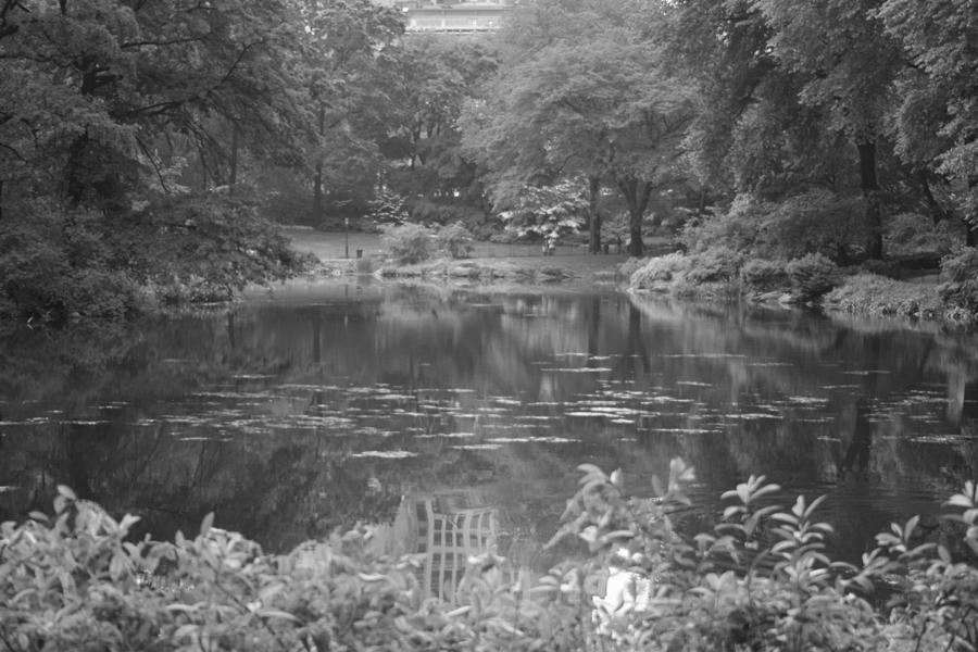 Central Park Pond Photograph by Christopher J Kirby