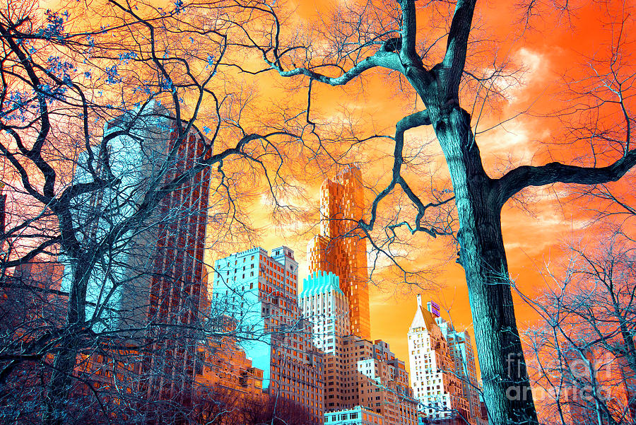 Central Park Pop Art Photograph by John Rizzuto