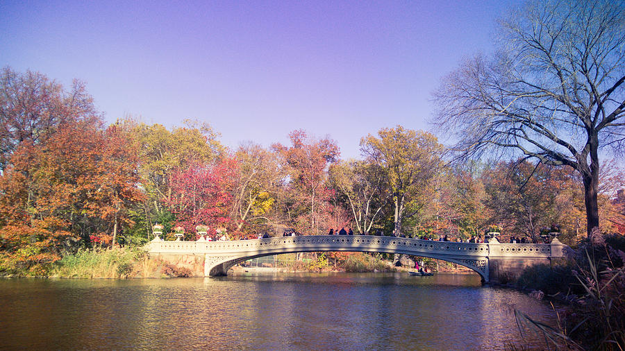 Central Park Photograph