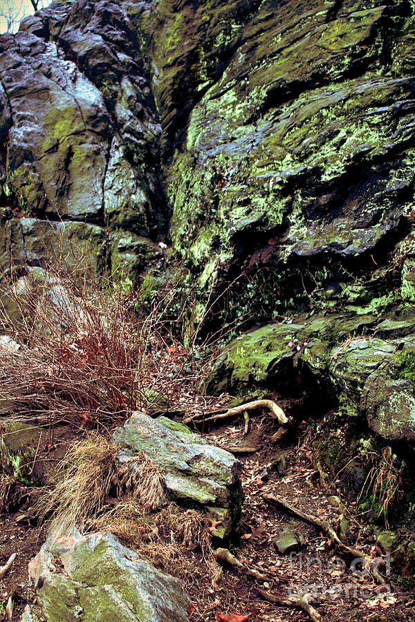 Central Park Rock Formation Photograph by Sandy Moulder