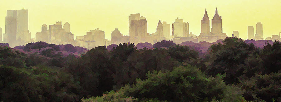 Central Park Skyline Photograph by David Thompsen