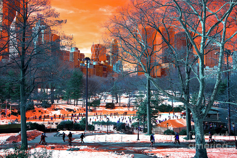 Central Park Snow Pop Art Photograph by John Rizzuto