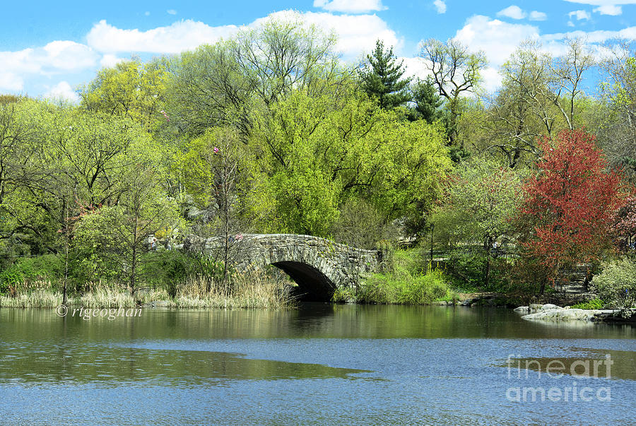 Central Park Photograph - Central Park Spring-Gapstow Bridge II by Regina Geoghan