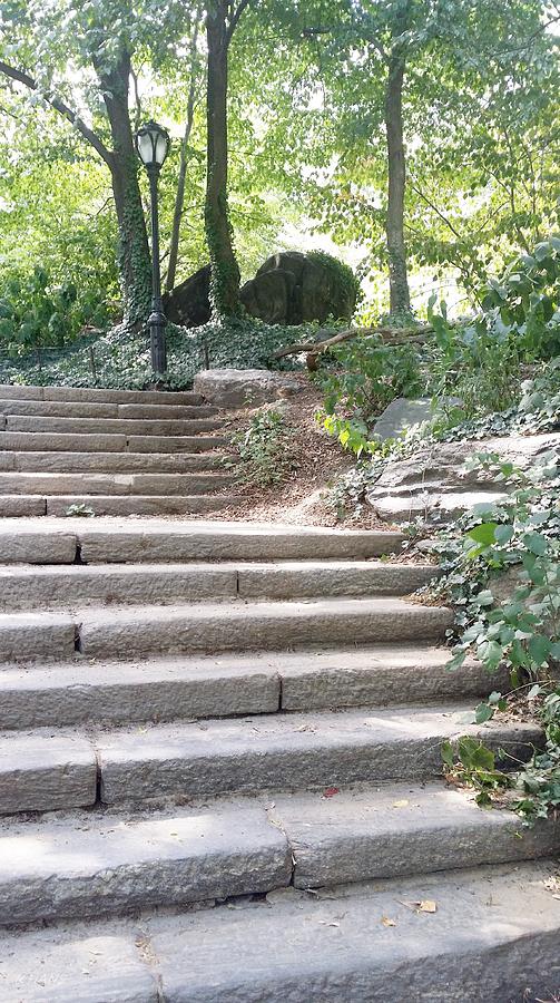 Central Park Photograph - Central Park Stairs 2015 by Rob Hans
