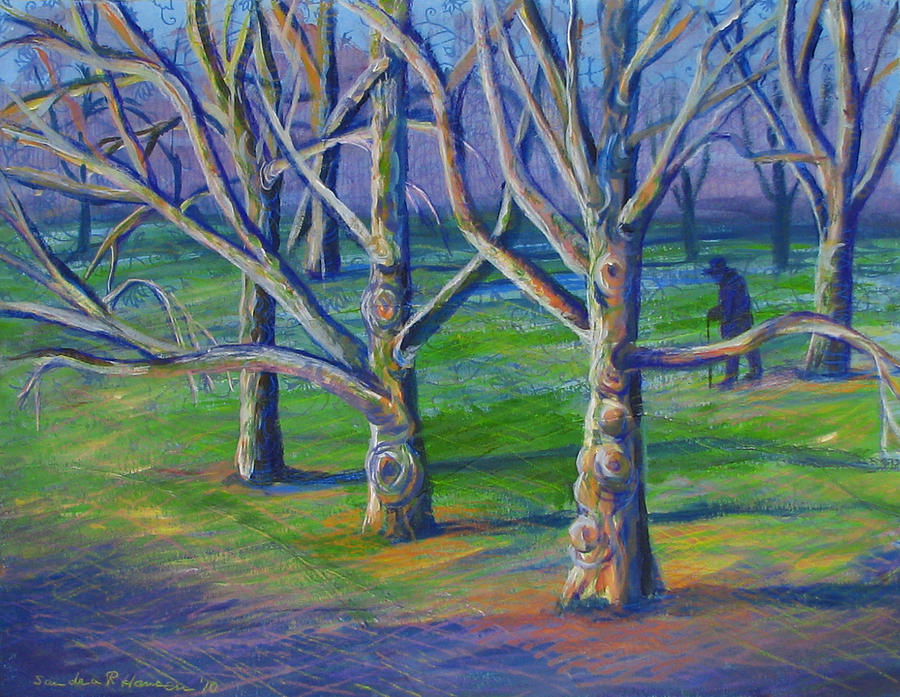 Central Park Sycamores Painting by Art Nomad Sandra  Hansen