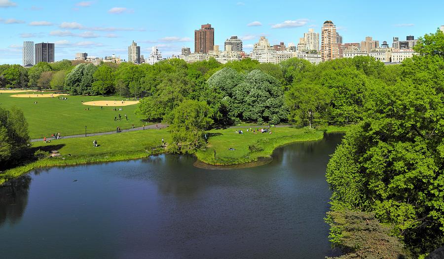 Central Park Photograph by Taner Dosluoglu - Fine Art America