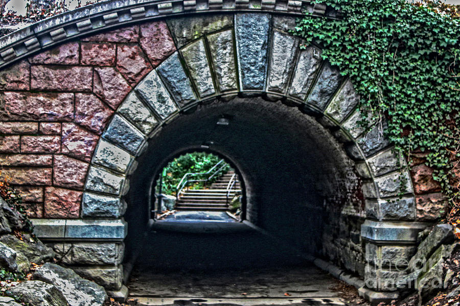 Central Park Tunnel Photograph by Sandy Moulder