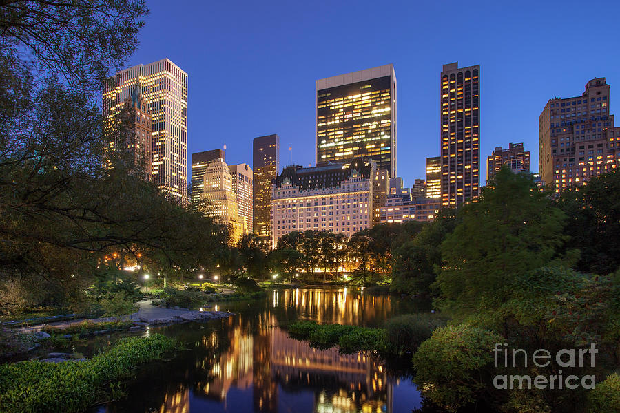 Central Park Twilight Photograph by Brian Jannsen