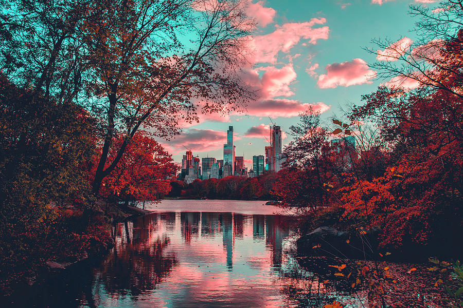 Central Park View Photograph by Juraj Polakovic - Pixels