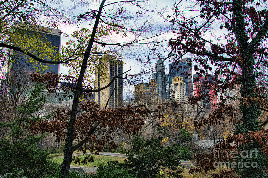 Central park views City NY Photograph by Chuck Kuhn