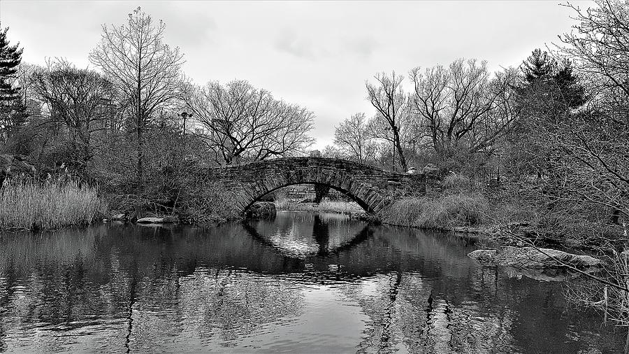 Central Park  Water Photograph by Rob Hans