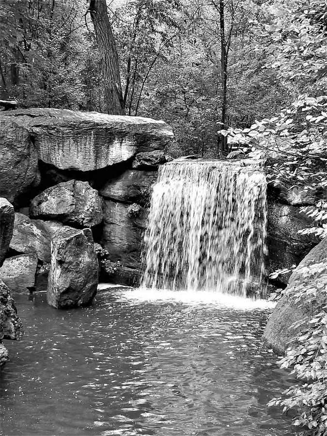 Central Park Waterfall1 B W Photograph by Rob Hans