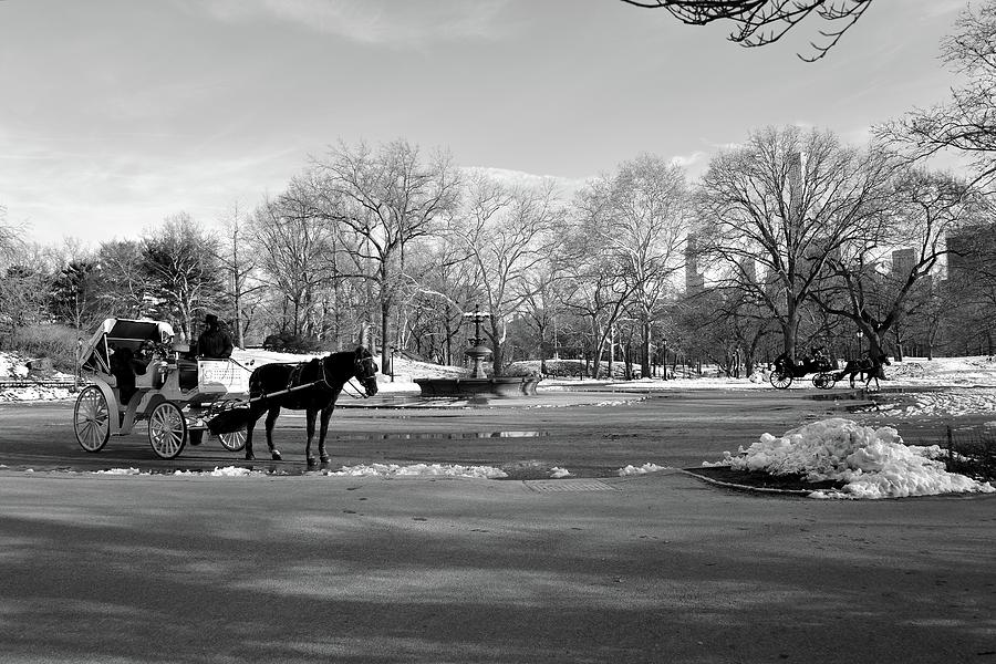 Central Park Winter Carriage ride Photograph by Kurt Von Dietsch Fine