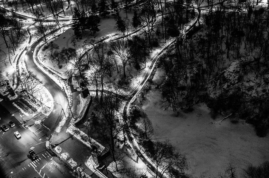Central Park Trails Photograph by M G Whittingham