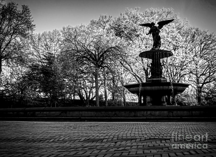 Central Parks Bethesda Fountain - BW Photograph by James Aiken