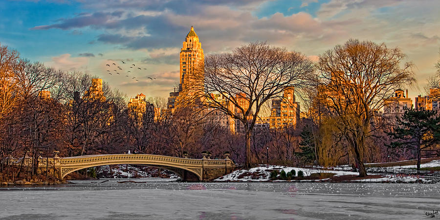 Central Parks Famous Bow Bridge Photograph by Chris Lord