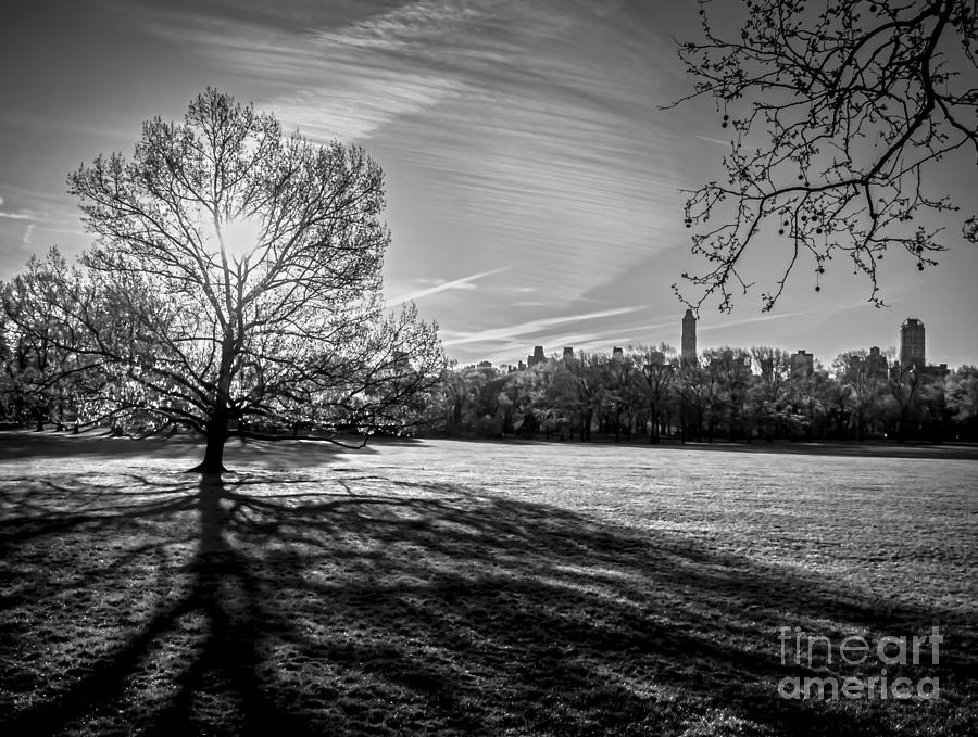 Central Parks Sheep Meadow - BW Photograph by James Aiken