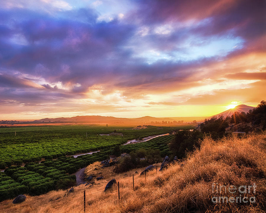 Central Valley Photograph by Anthony Michael Bonafede