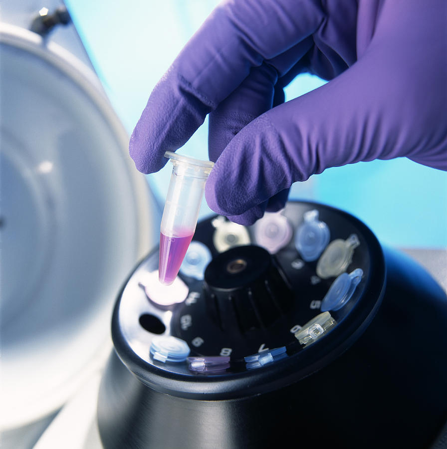 Centrifuge With Dna Samples Photograph by Tek Image