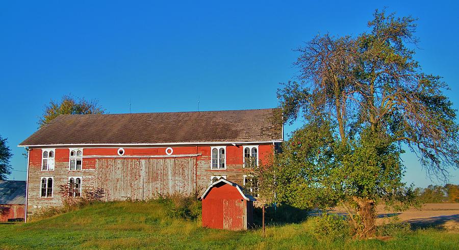 Century Old Windowed Barn and Apple Tree Indiana Autumn Photograph by ...