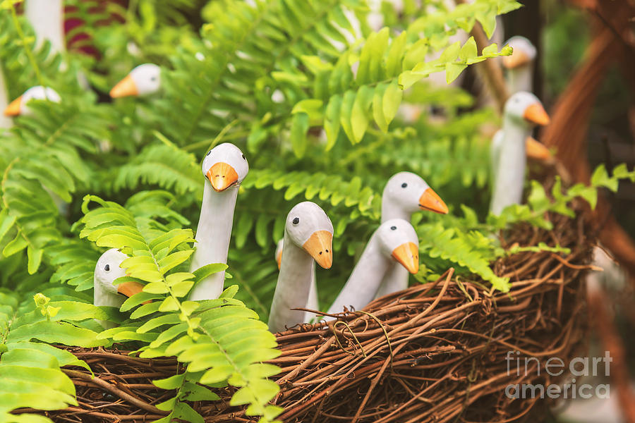 Ceramic birds garden decor Photograph by Sophie McAulay
